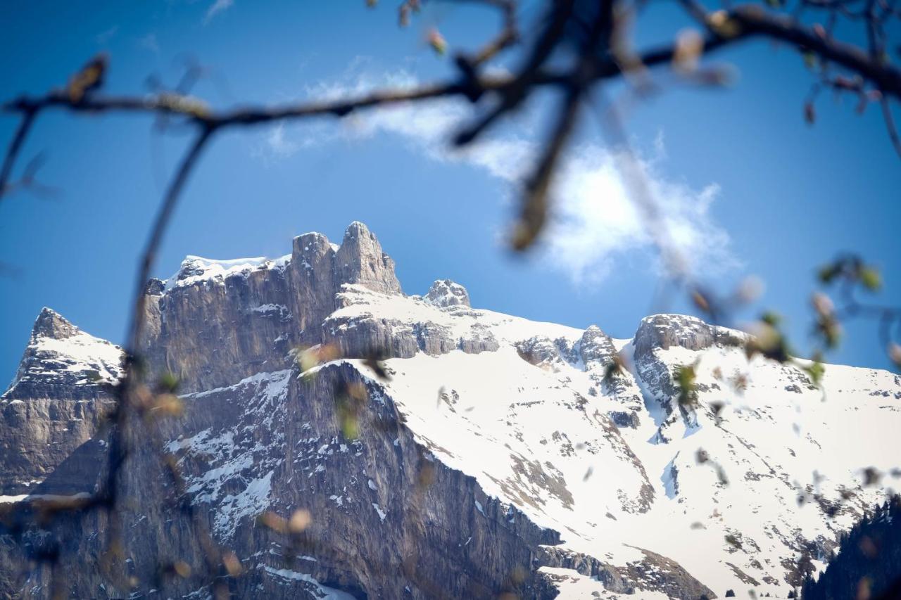 Hotel Alpina Kandersteg Luaran gambar
